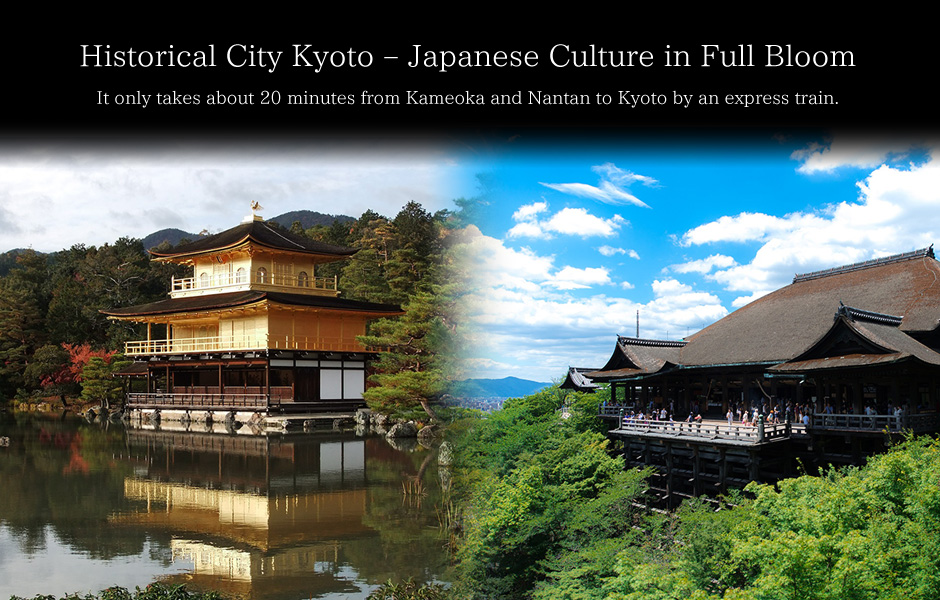Historical city Kyoto - Japanese culture in full bloom