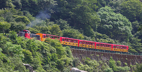 Sagano Scene Train (Sagano Torokko)